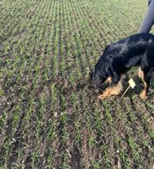 photo-2025-01-25-20-59-413-1