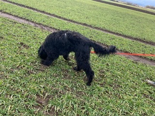 photo-2025-01-25-20-59-422-1